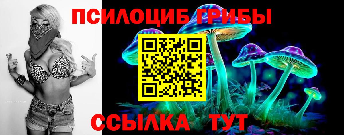 Псилоцибиновые грибы мухоморы Кандалакша